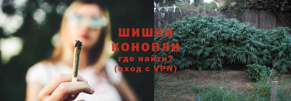 амф Аркадак