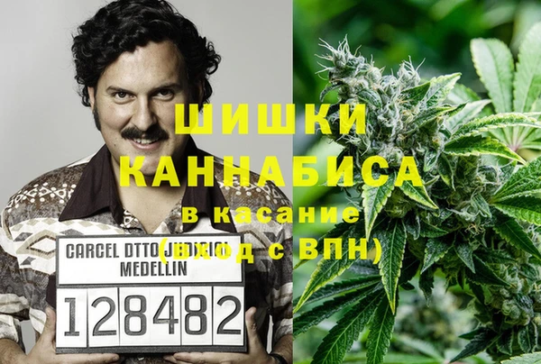 амф Аркадак