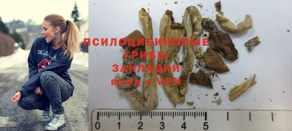 амф Аркадак
